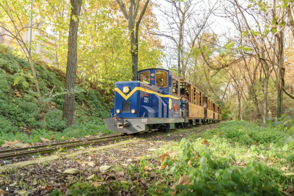 Tren del Parc